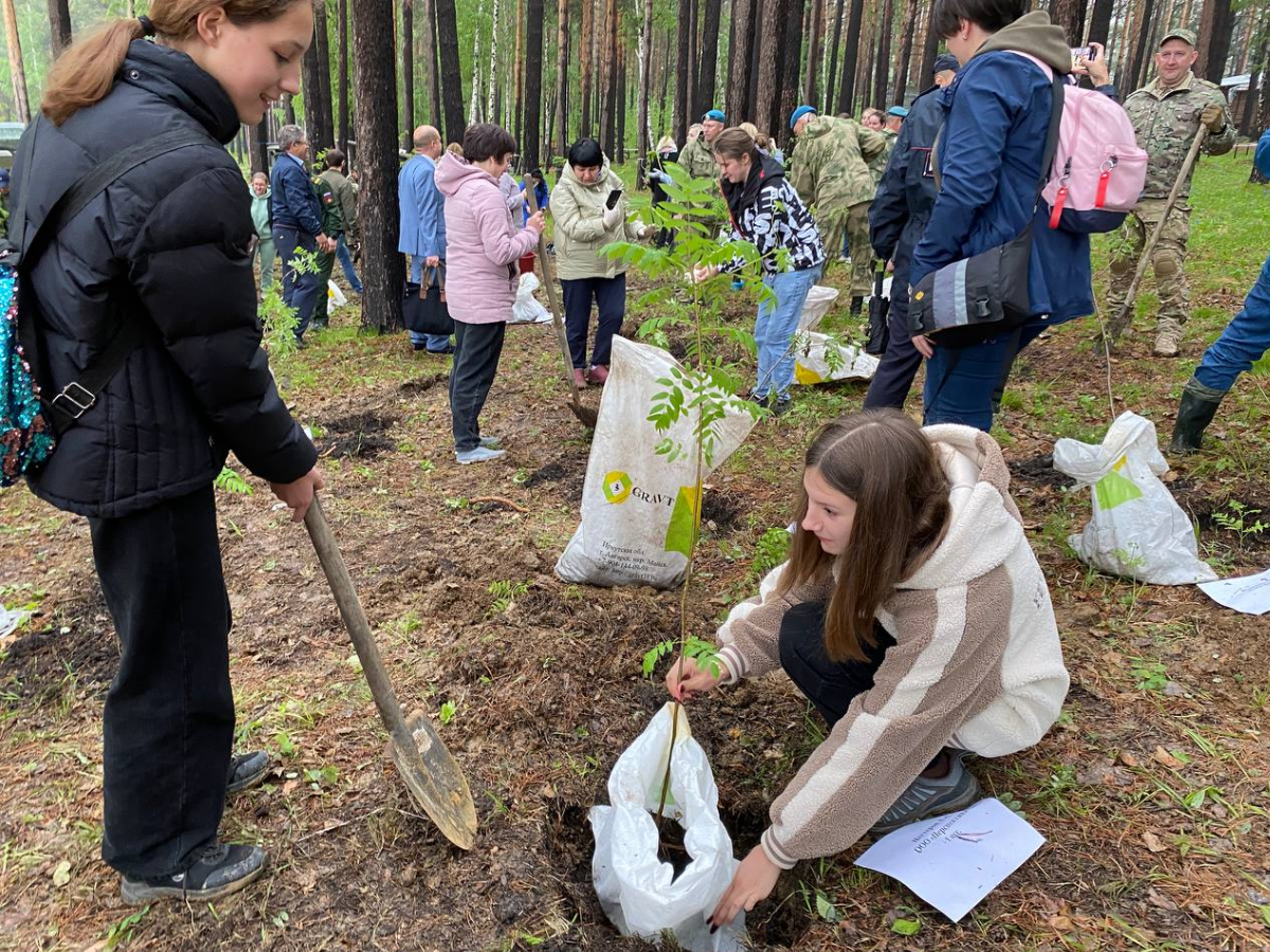 Аллея защитникам Отечества.