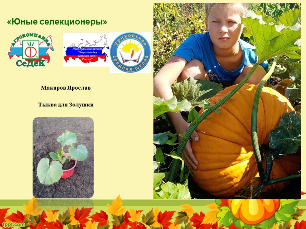Проект «Нужны селекционеры».