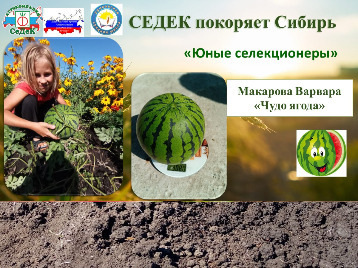 Проект «Нужны селекционеры».