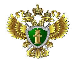 Правила поведения, если Вашему ребенку написали пособники террористов.
